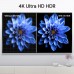 Dcolor GD1 4K TV Stick | Android 11 | 2GB + 16GB | Dual Band WiFi | HDR60Hz | HDMI2.1